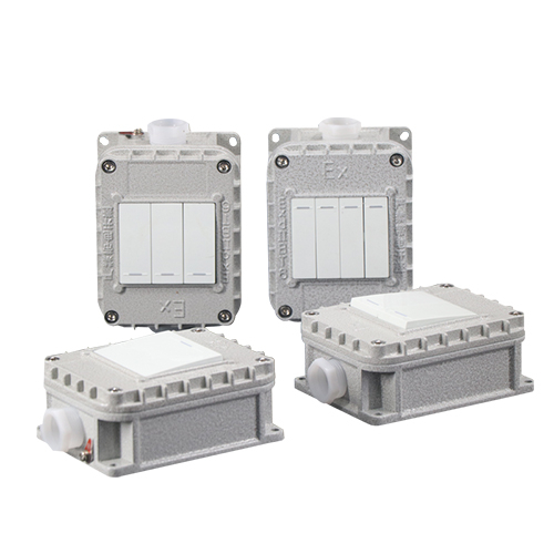 BOM-10系列防爆墙壁开关