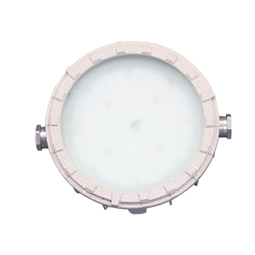 BZD155防爆免维护LED吸顶灯